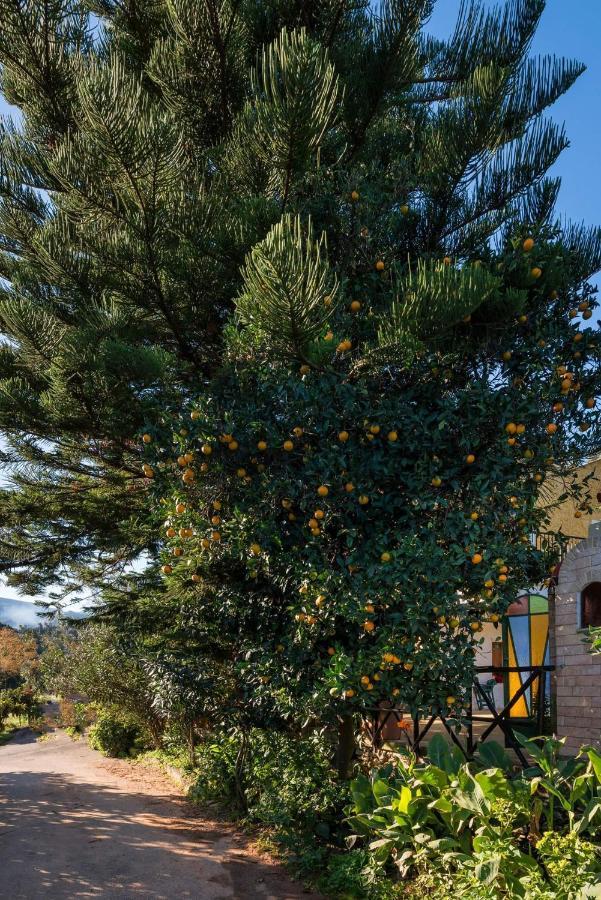 Casa Arokaria Διαμέρισμα Pendarianá Εξωτερικό φωτογραφία