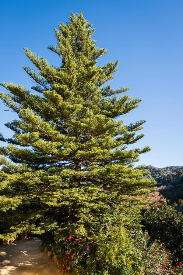 Casa Arokaria Διαμέρισμα Pendarianá Εξωτερικό φωτογραφία